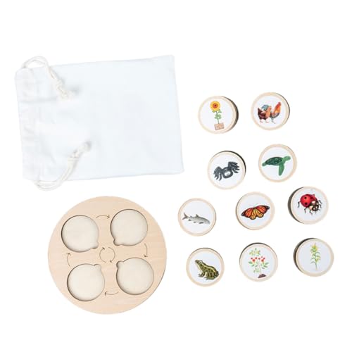 Toddmomy 1Satz Tierlebenszyklus Modelle Holzspielzeug Kindlichen Kreativität und Bildung für Schulprojekte Geburtstagsgeschenke und Partygäste Toddmomy 1Satz Tierlebenszyklus Modelle Holzspielzeug Kindlichen Kreativität und Bildung für Schulprojekte Geburtstagsgeschenke und Partygäste von Toddmomy
