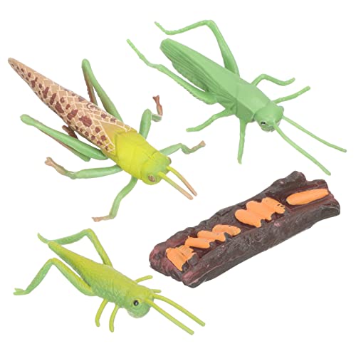 Toddmomy 1Satz Tierzyklusmodell Für Lernspielzeug Mit Tierlebenszyklus Figuren Modelle Schnecke Für Frühes Lernen Und Kognitive Entwicklung von Toddmomy
