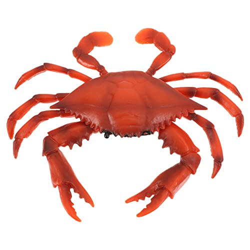 Toddmomy 1Stück Simuliertes Meerestier Modell aus Hochwertigem Realistische Krabbenfigur Deko für Partys und Lernspielzeug für Kreative Bastelprojekte von Toddmomy