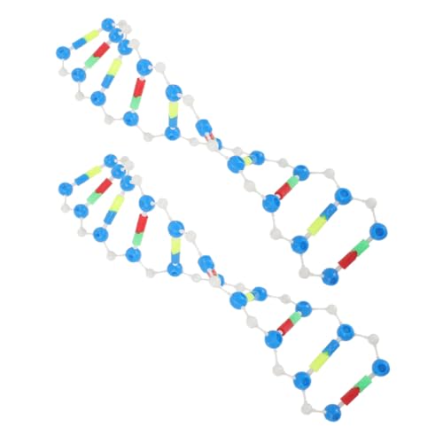 Toddmomy 2 Stück DNA Modellbausatz Molekulares Doppelhelix bausatz für Schüler und Wissenschaftsunterricht Anschauliches Biologie lehrmittel zur Vererbungslehre und Molekularen Struktur Toddmomy 2 Stück DNA Modellbausatz Molekulares Doppelhelix bausatz für Schüler und Wissenschaftsunterricht Anschauliches Biologie lehrmittel zur Vererbungslehre und Molekularen Struktur von Toddmomy