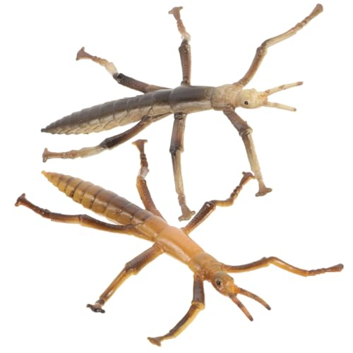 Toddmomy 2 Stück Insekten Lernspielzeug Realistische Simulation von Stabheuschrecken Pädagogisches Modell für Bildung und Dekoration Aus Robustem Leicht zu Reinigen Lagern von Toddmomy