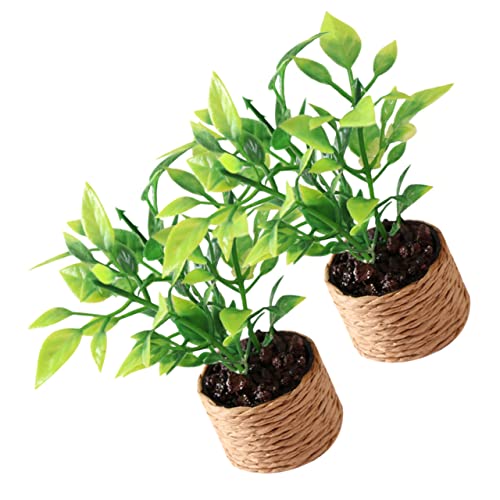 Toddmomy 2 Stück Mini-orangenbaum Mini-Bonsai-Figuren-Ornament Winzige Miniatur-topfpflanzen Kleine Künstliche Pflanzen Kleine Topfornamente Kleine Topfpflanzen Plastik Toddmomy 2 Stück Mini-orangenbaum Mini-Bonsai-Figuren-Ornament Winzige Miniatur-topfpflanzen Kleine Künstliche Pflanzen Kleine Topfornamente Kleine Topfpflanzen Plastik von Toddmomy