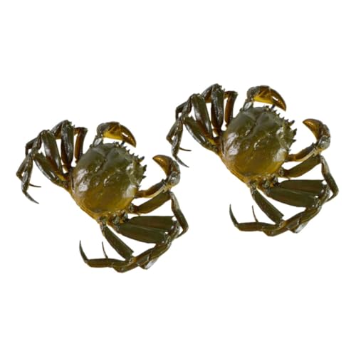 Toddmomy 2 Stück Realistische Krabbenmodell aus Lebensechte Meeresdekoration Kompakte Simulation für Lernspielzeug Aquarium Deko Tierfiguren für Zuhause und Büro Toddmomy 2 Stück Realistische Krabbenmodell aus Lebensechte Meeresdekoration Kompakte Simulation für Lernspielzeug Aquarium Deko Tierfiguren für Zuhause und Büro von Toddmomy