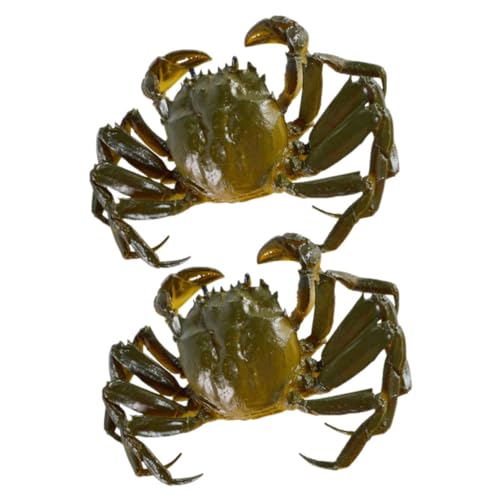 Toddmomy 2 Stück Realistisches Teiliges Krabbenmodell Künstliche Tischdekoration Lebensechte Simulation Haarige Krabbe Deko für Aquarium Foto Requisite Detailgetreue Nachbildung von Toddmomy