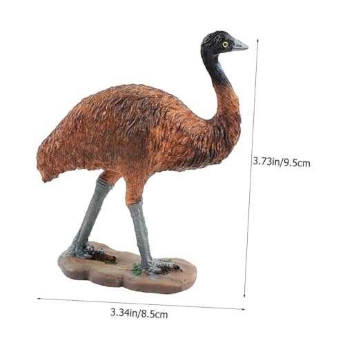 Toddmomy 2 Stück Teiliges Kleines Strauß Modell aus Robustem Kunststoff Glatte Oberfläche Dekoratives Desktop Dekor Geeignet als Lernspielzeug und Tiermodell für Schulprojekte von Toddmomy
