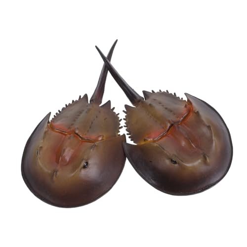 Toddmomy 2 Stück Teiliges Realistische Kunststoff-mangrovenkrabben Meereslebewesen Figuren für Vielseitig Indoor Outdoor mit Lebensechten Details und Leuchtenden Farben von Toddmomy