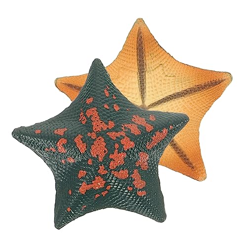 Toddmomy 2 Stück Teiliges Realistisches Seestern Dekospielzeug aus Wasserdichtem Lebendige Farben als Desktop und Aquarium Deko für Haushalt und Kinderzimmer von Toddmomy