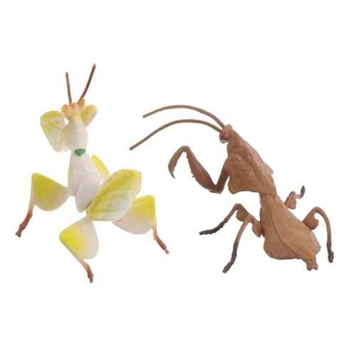 Toddmomy 2 Stücke Simulation Insektenmodell Insektenprobenhandwerk realistisches insektenspielzeug Gottesanbeterin Figur Mantis Toy Ornament Mantis-Figur realistische Fehler Plastik Toddmomy 2 Stücke Simulation Insektenmodell Insektenprobenhandwerk realistisches insektenspielzeug Gottesanbeterin Figur Mantis Toy Ornament Mantis-Figur realistische Fehler Plastik von Toddmomy