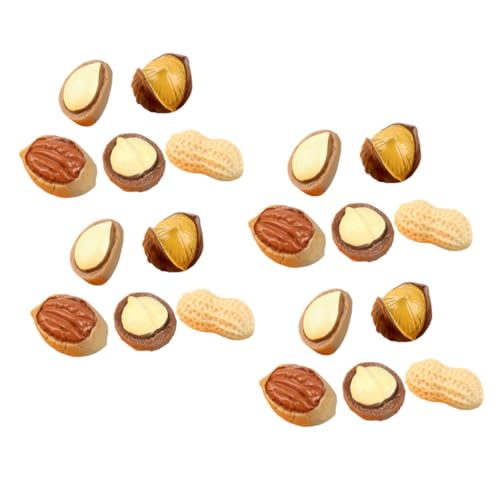 Toddmomy 20 Stück Teiliges Miniatur Nussmodell aus Stabilem Resin Liebevoll Gestaltete Dekoration für Puppenhaus DIY Szene Layout Realistisches Design für Erdnuss deko von Toddmomy