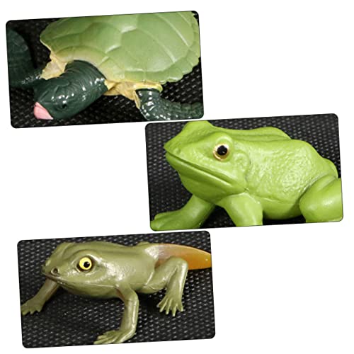Toddmomy 2Sätze Simulation Frosch Schildkröte Figuren Teiliges Tiermodell für Sicher und Langlebig als Dekoration und Lernspielzeug zur Wachstumsentwicklung von Toddmomy