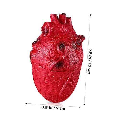 Toddmomy 2Stücke Halloween Herzrequisiten Realistisches Herzmodell für Gruselige Deko und Spaß bei Halloween Partys für Spukhäuser und Schaurige Toddmomy 2Stücke Halloween Herzrequisiten Realistisches Herzmodell für Gruselige Deko und Spaß bei Halloween Partys für Spukhäuser und Schaurige von Toddmomy