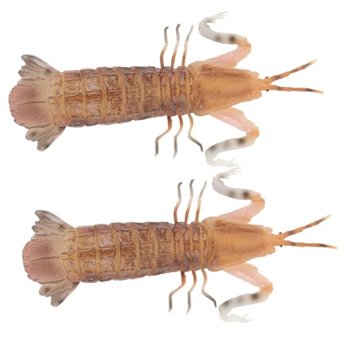 Toddmomy 2Stücke Realistisches Garnelenmodell für Dekoration Simuliertes Meerestier für Foto Requisiten Heimdekoration Restaurant Display und Kinderspielzeug von Toddmomy