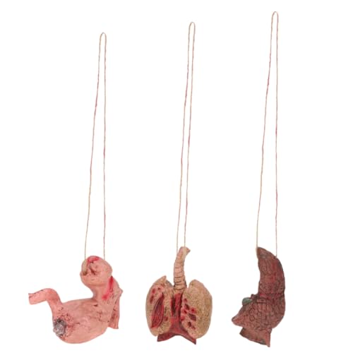 Toddmomy 3 Stück Halloween Simulations Orgel Anhänger Halloween Gruseldekor Horror Halloween Heikle Requisiten Halloween Requisiten Lustiges Halloween Hängekörperteile von Toddmomy