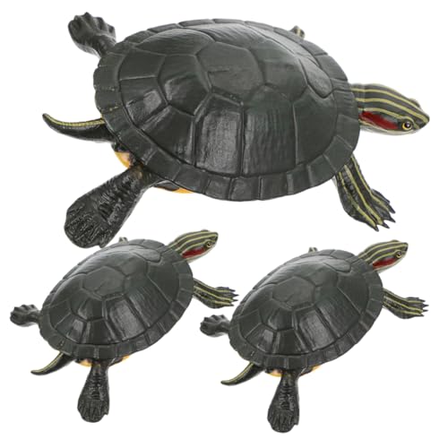 Toddmomy 3 Stück Realistische Schildkröten Modelle Dekorative Tortoise Figuren aus Hochwertigem Lernspielzeug für Kreativität und Tierverständnis von Toddmomy