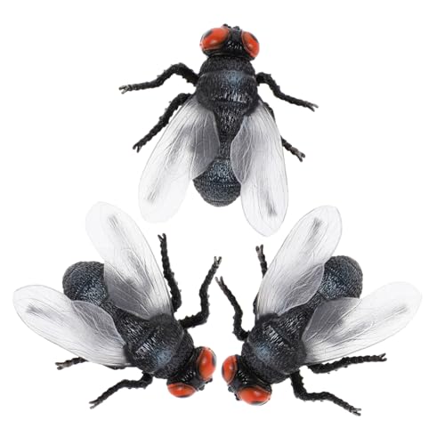 Toddmomy 3 Stück Teiliges Miniatur Fliegen Figuren aus Robustem Kunststoff Realistische Insekten für Frühkindliche Bildung Naturkunde und Eltern-Junge Mädchen Lernaktivitäten Toddmomy 3 Stück Teiliges Miniatur Fliegen Figuren aus Robustem Kunststoff Realistische Insekten für Frühkindliche Bildung Naturkunde und Eltern-Junge Mädchen Lernaktivitäten von Toddmomy