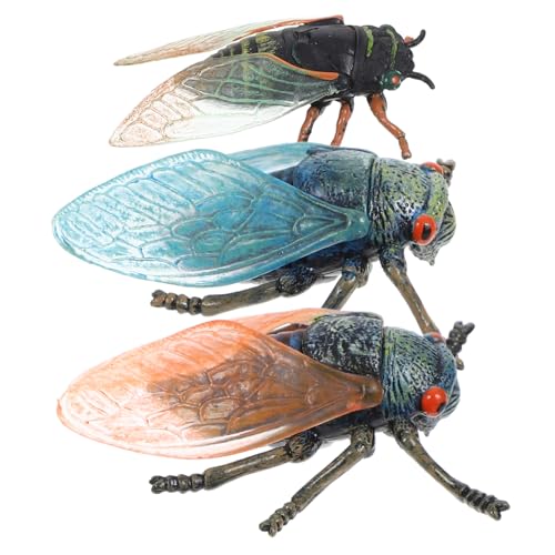 Toddmomy 3 Stück Teiliges Plastik Zikaden Modell Realistische Insektenfigur mit Glatter Oberfläche Langlebige Zikaden Dekoration für Lernspielzeug und Tischdeko von Toddmomy