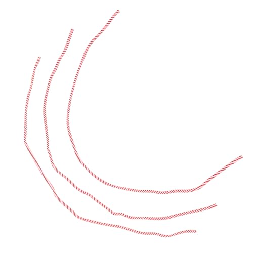 Toddmomy 3 Teiliges Seil Geflochtenes Seil Flaches Seil Bühnenrequisiten Zaubererzubehör Zaubererspielzeug Für Männer Optische Täuschungsspielzeug Bühnenseil Seile Für Erwachsene von Toddmomy