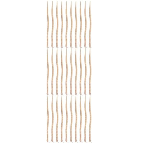 Toddmomy 30 Stck. Holzspielzeug Schlange Teiliges Unvollendetes Schlangenspielzeug für Realistische Holzschlangen für DIY Bastelprojekte für Halloween Dekorationen und Lernspielzeug von Toddmomy
