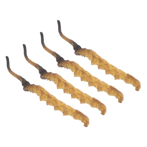 Toddmomy 4 Stücke Cordyceps Lebenszyklus Realistische Orientalische Medizin Shop Decor Pretend Arzt Requisiten Für Chinesische Shop von Toddmomy