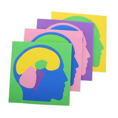 Toddmomy 4 Stück Gehirnrätsel Für Denksportaufgaben Rätsel Kinderpuzzle Gehirn Rätsel Kleine Rätsel Für Erwachsene Gehirnmodell Gehirn-Puzzle Montessori-rätsel Eva Toddmomy 4 Stück Gehirnrätsel Für Denksportaufgaben Rätsel Kinderpuzzle Gehirn Rätsel Kleine Rätsel Für Erwachsene Gehirnmodell Gehirn-Puzzle Montessori-rätsel Eva von Toddmomy