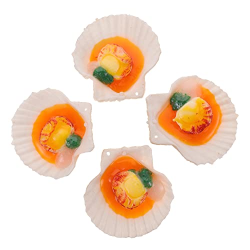 Toddmomy 4 Stück Realistische Meeresfrüchte Modelle Teiliges für Kinderküche Fotorequisiten Tischdekoration Naturgetreue Leichte Scallop Nachbildung ohne Verschluss von Toddmomy