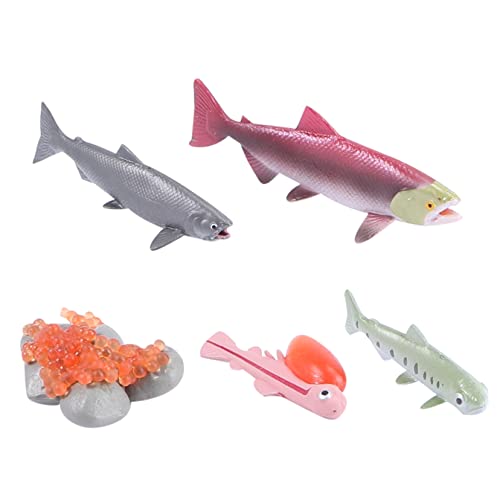 Toddmomy 4Stücke Teiliges Lachsfigurenmodell Set Lebendige Realistische Fische für Kindergarten und Heimgebrauch Lernspielzeug zur Simulation des Lachslebenszyklus Fördert Kognitive Toddmomy 4Stücke Teiliges Lachsfigurenmodell Set Lebendige Realistische Fische für Kindergarten und Heimgebrauch Lernspielzeug zur Simulation des Lachslebenszyklus Fördert Kognitive von Toddmomy