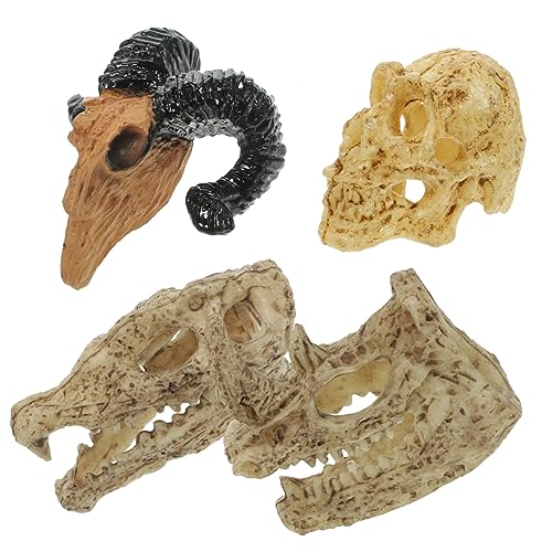 Toddmomy 4Stücke Teiliges Miniaturschädel Tiermodelle Kreative Schädeldekoration Für Puppenhäuser Und Kleine Räume Langlebiges Kunststoffmaterial Für Wohnraumgestaltung von Toddmomy