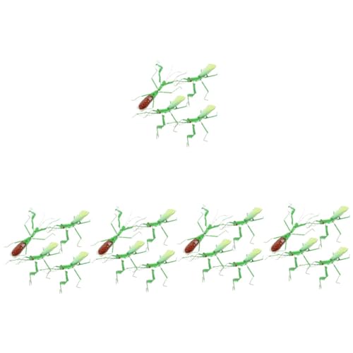 Toddmomy 5 Sätze Hochsimulations Insektenspielzeug Gottesanbeterin Modell Gottesanbeterin Gartenstatuen Blumentopf Figur Gottesanbeterin Ornament Heimdekoration 4 Stücke * 5 Toddmomy 5 Sätze Hochsimulations Insektenspielzeug Gottesanbeterin Modell Gottesanbeterin Gartenstatuen Blumentopf Figur Gottesanbeterin Ornament Heimdekoration 4 Stücke * 5 von Toddmomy