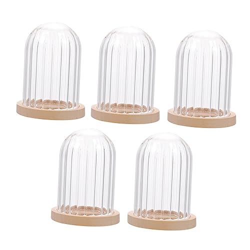 Toddmomy 5Stücke Mini Kuchen Cover Ornament Teiliges Für DIY Puppenhaus Und Mini Landschaftszierungen Für Kreative Projekte Hochwertige Verarbeitung Vielseitig Einsetzbar von Toddmomy