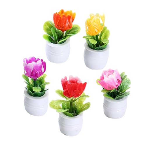 Toddmomy 5Stücke Miniaturpflanzen Künstliche Bonsai Pflanzen für Puppenhaus Dekoration Realistische Topfpflanzendekoration für Miniaturräume und Mikrolandschaften für Kreative Toddmomy 5Stücke Miniaturpflanzen Künstliche Bonsai Pflanzen für Puppenhaus Dekoration Realistische Topfpflanzendekoration für Miniaturräume und Mikrolandschaften für Kreative von Toddmomy
