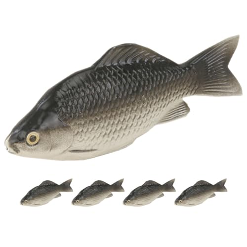 Toddmomy 5Stücke Schaumstoff Karpfen Modell Künstliche Fische für Aquarium Deko Realistische Unterwasser Gestaltung Lehrreiches Fischmodell Langlebig und Farbecht Toddmomy 5Stücke Schaumstoff Karpfen Modell Künstliche Fische für Aquarium Deko Realistische Unterwasser Gestaltung Lehrreiches Fischmodell Langlebig und Farbecht von Toddmomy