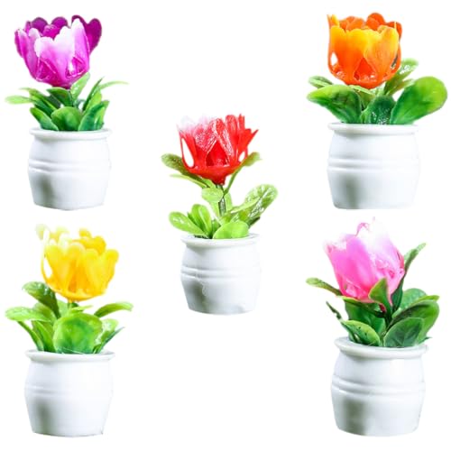 Toddmomy 5stücke Miniatur Blumenpot Modell Teiliges Künstliche Pflanzen Für Puppenhaus Dekoration Hochwertige Harz Töpfe Für Miniatur-gärten Und Projekte Sicher Und Realistisch Toddmomy 5stücke Miniatur Blumenpot Modell Teiliges Künstliche Pflanzen Für Puppenhaus Dekoration Hochwertige Harz Töpfe Für Miniatur-gärten Und Projekte Sicher Und Realistisch von Toddmomy