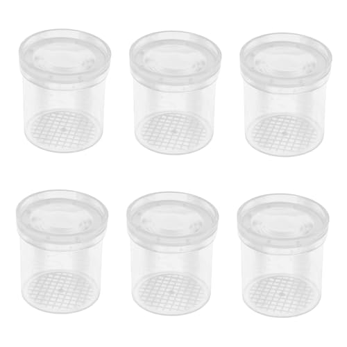 Toddmomy 6 Stück Teiliges Insektenbeobachtungsset Fach Lupe Transparenter Kunststoff Beobachtungsbecher für Luftdurchlässige Insektenbox zum Forschen und Füttern von Insekten Toddmomy 6 Stück Teiliges Insektenbeobachtungsset Fach Lupe Transparenter Kunststoff Beobachtungsbecher für Luftdurchlässige Insektenbox zum Forschen und Füttern von Insekten von Toddmomy