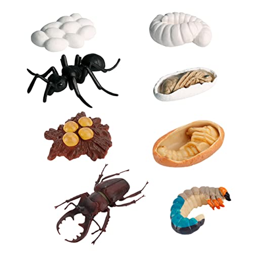 Toddmomy 8Stücke Lebendige Insektenmodell Simulation Pädagogische Arbeiterameisen für Lernspielzeug zur Naturerkundung Dekoration von Klassenzimmern und Zuhause Toddmomy 8Stücke Lebendige Insektenmodell Simulation Pädagogische Arbeiterameisen für Lernspielzeug zur Naturerkundung Dekoration von Klassenzimmern und Zuhause von Toddmomy