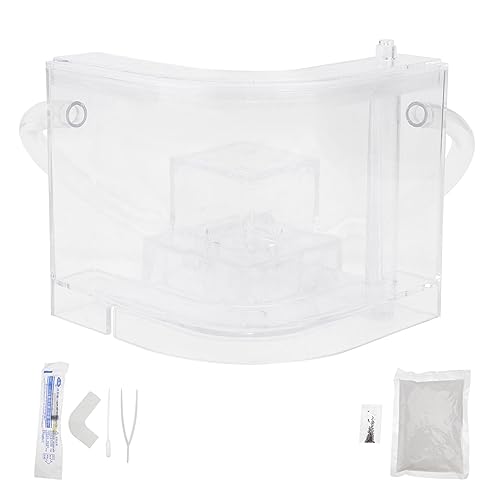 Toddmomy Ant Nest Transparent Pädagogisches Ameisenfarm Terrarium mit Natürlichem Nest Langlebig Leicht zu Reinigen für Wissenschaftsexperimente zu Hause Schule von Toddmomy