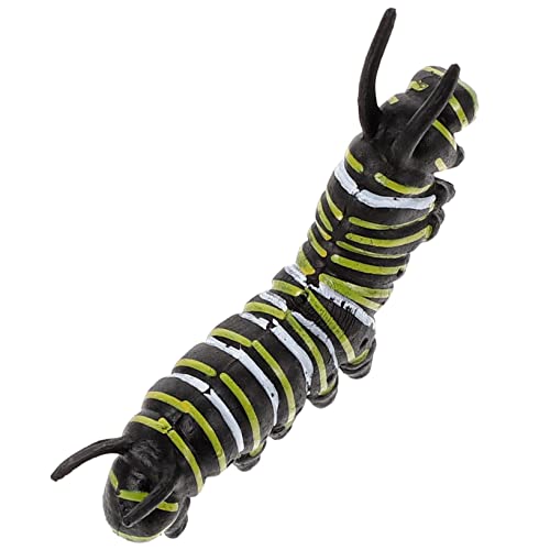 Toddmomy Bildungsspielzeug Simulation Wurm Tiermodell Fidget für Kreative Lernspiele für Innenräume Spaß für Robustes Material Fördert die Vorstellungskraft Toddmomy Bildungsspielzeug Simulation Wurm Tiermodell Fidget für Kreative Lernspiele für Innenräume Spaß für Robustes Material Fördert die Vorstellungskraft von Toddmomy