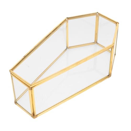 Toddmomy Box Aus Glas Sarg Pin Display Sarg Glasgehäuse Zur Anzeige Schmuck Display Vampir Brillen Display Glasdisplay Halloween Schlafzimmer Gothic von Toddmomy