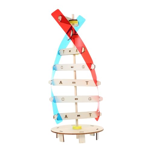 Toddmomy DIY DNA Doppelhelix Modell aus Holz Wissenschaftliches Lernspielzeug für Fördert Feinmotorik und Problemlösung Wissenschaftliches Experimentier für Biologieunterricht Handmontage Toddmomy DIY DNA Doppelhelix Modell aus Holz Wissenschaftliches Lernspielzeug für Fördert Feinmotorik und Problemlösung Wissenschaftliches Experimentier für Biologieunterricht Handmontage von Toddmomy