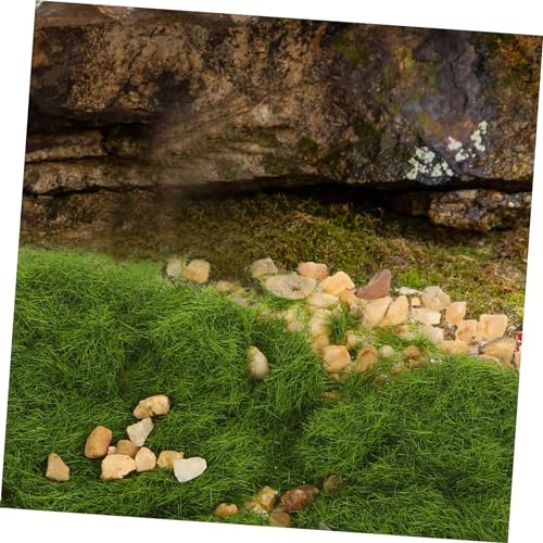 Toddmomy DIY Mikro Landschaft Gras und Kies Statischer Grasrasen für Sandtisch Modellbau Hellgrünes Graspulver Realistische Steine für Garten und Szenarium Dekoration von Toddmomy