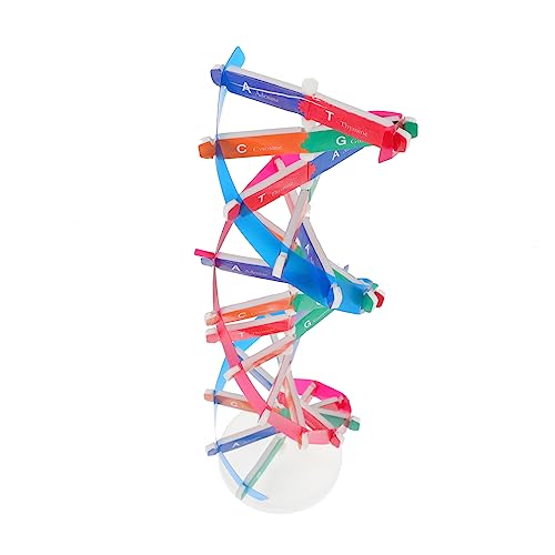 Toddmomy DNA Modellierungsspielzeug Doppelhelix Bausatz für Konzentration und Lernen und Wissenschaft für Schulunterricht und Experimente von Toddmomy