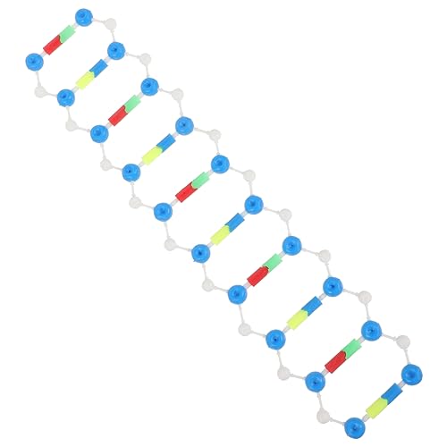 Toddmomy Doppelhelix DNA Modellbausatz Pädagogisches Instrument für Biologieunterricht Selbst Zusammenbaubar für Klassenzimmer und Wissenschaftliche Experimente von Toddmomy