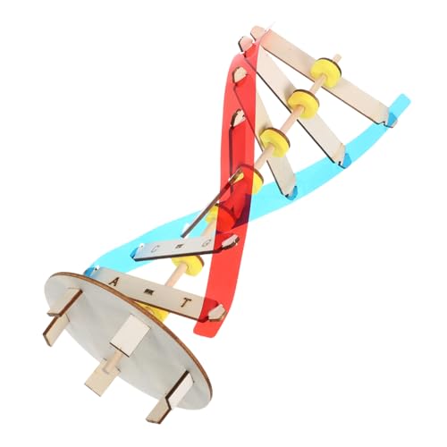 Toddmomy Educational DNA Modell DIY Bausatz Wissenschaftliches Lernspielzeug Doppelhelix Struktur für Schüler und Unterricht zur Naturwissenschaftliches Verständnis Toddmomy Educational DNA Modell DIY Bausatz Wissenschaftliches Lernspielzeug Doppelhelix Struktur für Schüler und Unterricht zur Naturwissenschaftliches Verständnis von Toddmomy