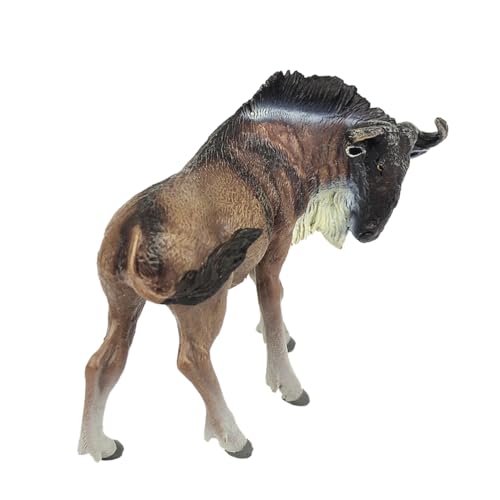 Toddmomy Figurine Modell Realistisches Tiermodell für Dekoration für Zuhause Pädagogisches Langlebig und Sicher für Kleine Toddmomy Figurine Modell Realistisches Tiermodell für Dekoration für Zuhause Pädagogisches Langlebig und Sicher für Kleine von Toddmomy