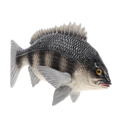 Toddmomy Fischmodell für Lebensechte Simulation Bream Figur Pädagogisches Tiermodell Kreativität und Freude Dekoration Toddmomy Fischmodell für Lebensechte Simulation Bream Figur Pädagogisches Tiermodell Kreativität und Freude Dekoration von Toddmomy