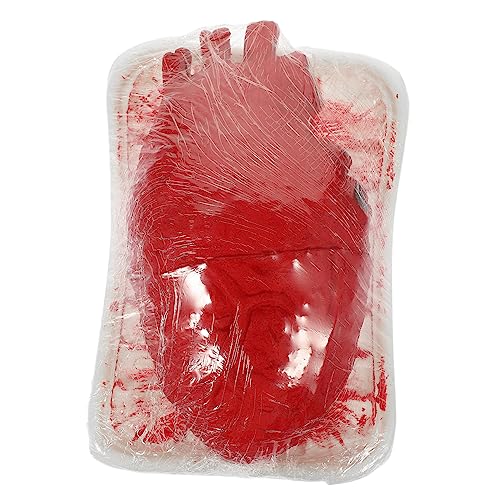 Toddmomy Halloween Körperorgan Requisiten Simuliertes Herz Modell aus Hochwertigem Kunststoff für Gruselige Deko Halloween Dekoration für Partys und Veranstaltungen Toddmomy Halloween Körperorgan Requisiten Simuliertes Herz Modell aus Hochwertigem Kunststoff für Gruselige Deko Halloween Dekoration für Partys und Veranstaltungen von Toddmomy