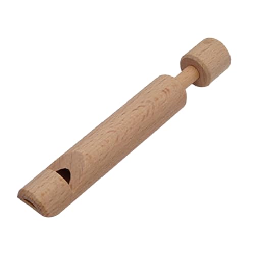 Toddmomy Holz Flöte für DIY Push Pull Piccolo Musikinstrument für Frühkindliche Bildung Rhythmisches für Partys und Schule für Kleine Musiker von Toddmomy