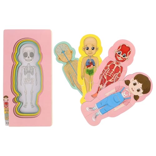 Toddmomy Kinder Holzkörper Rätsel Kleinkind Montessori Girls Anatomie Puzzle Menschliches Körper Lernspielzeug Mit Organen von Toddmomy