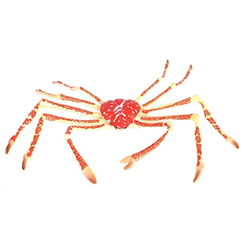 Toddmomy Krabbenfiguren Lernspielzeug für Simuliertes Krabbenmodell aus Hochwertigem Realistisches Meerestier für Bildung und Kleine Toddmomy Krabbenfiguren Lernspielzeug für Simuliertes Krabbenmodell aus Hochwertigem Realistisches Meerestier für Bildung und Kleine von Toddmomy