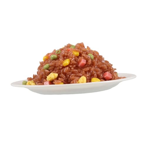Toddmomy Künstlicher Gebratener Reis Modell Realistisches Faux Food aus Große Requisite für Lebensmittelspielzeug und Küchen Spielset für Fotografie von Toddmomy