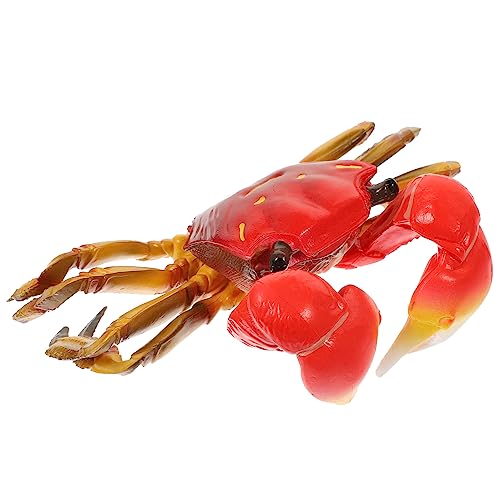 Toddmomy Künstliches Haarige Krabbenmodell Pädagogisches Meeres Tiermodell Realistische Simulation für Lernspielzeug Kreative Dekoration von Toddmomy